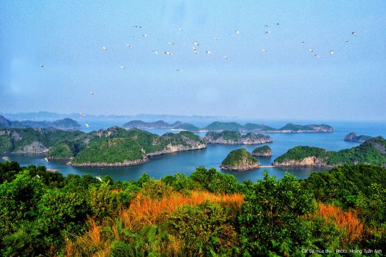 Thu hút vốn đầu tư vào các huyện nghèo, khó khăn và giải pháp